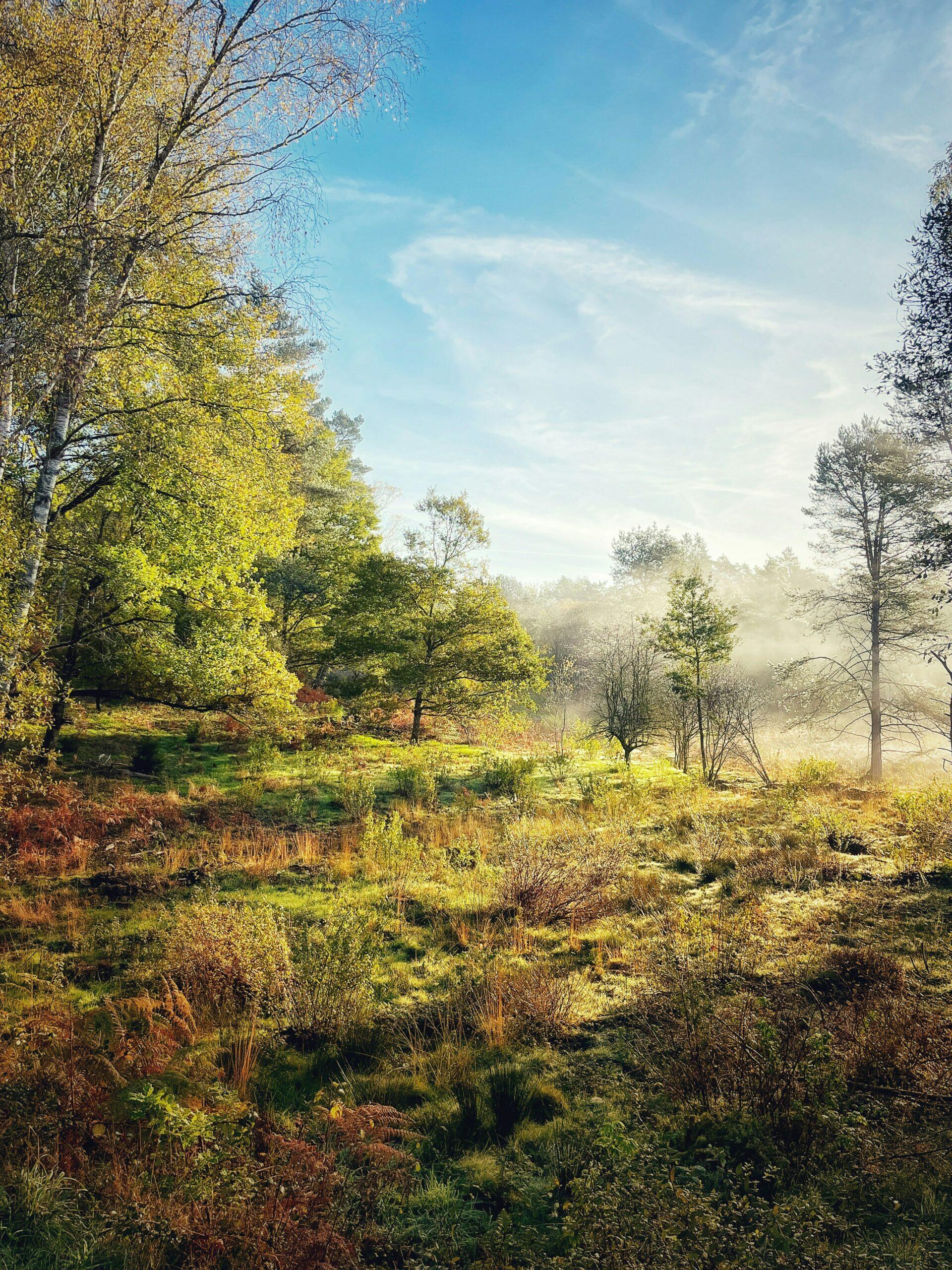 La Creuse, la merveille qui nous rassemble - identiité creuse - esprit creuse 